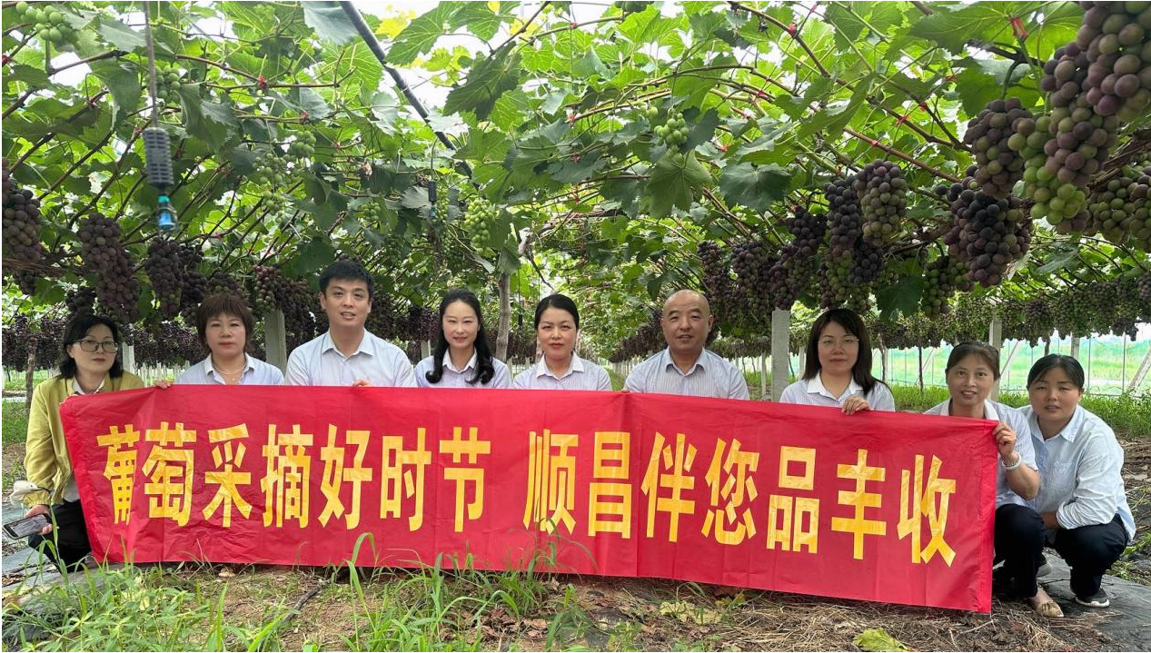 图片6