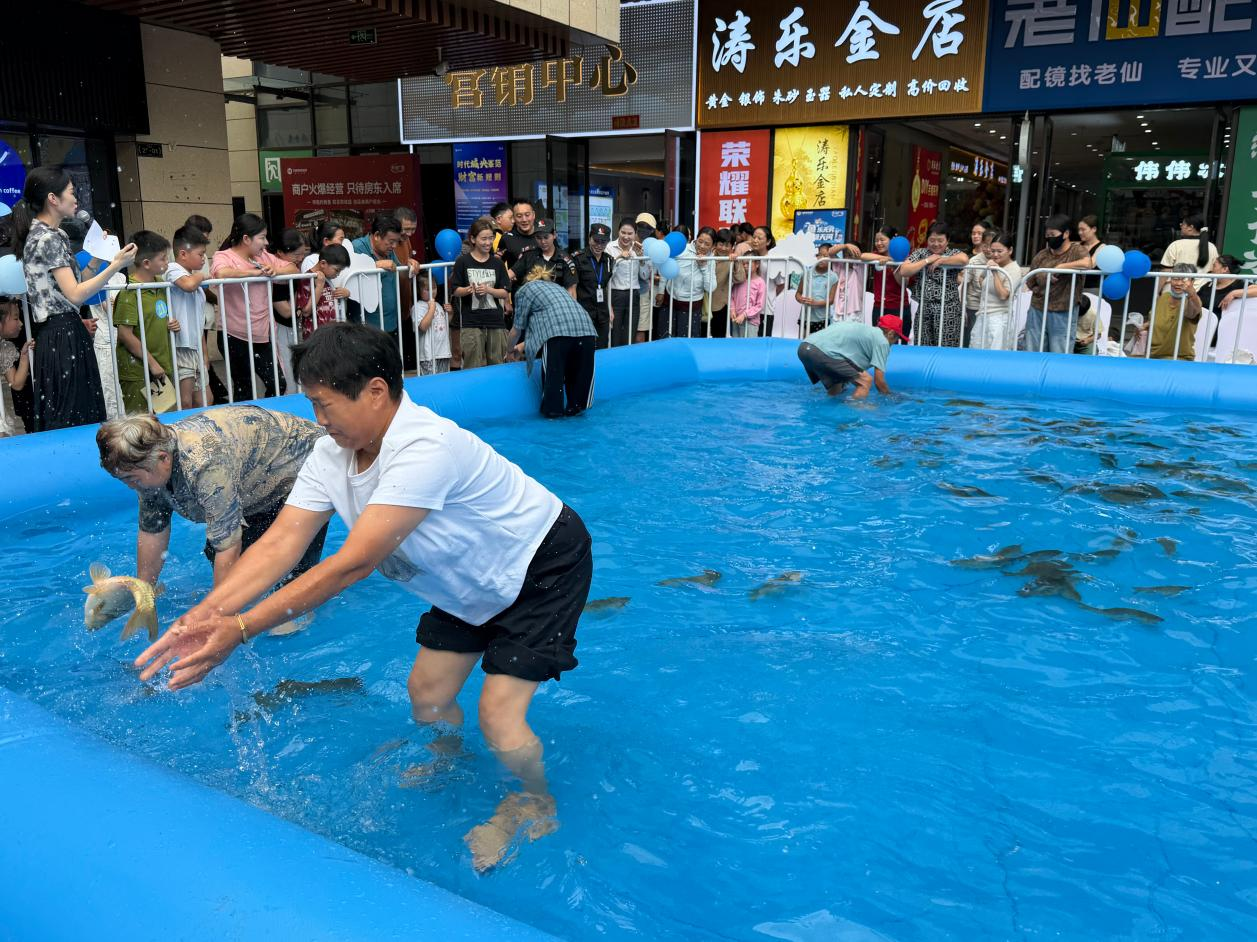 图片3